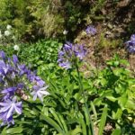 Údolí jeptišek (Curral das Freiras)