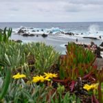 Porto Moniz - mořské lázně