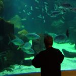 Akvárium Porto Moniz