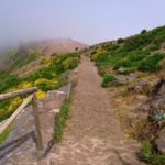 Pico do Arieira - cesta na Pico Ruivo