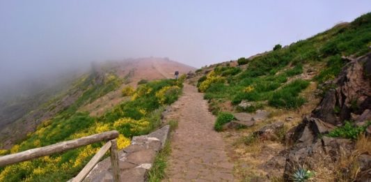 Pico do Arieira - cesta na Pico Ruivo