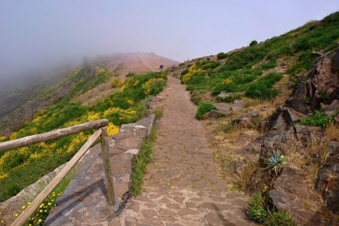 Pico do Arieira - cesta na Pico Ruivo