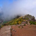 Pico do Arieira - cesta na Pico Ruivo