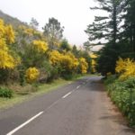 Cesta autem na Pico do Arieiro