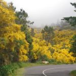 Cesta autem na Pico do Arieiro