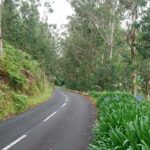 Cesta do Ponta do Pargo po silnici ER101