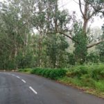 Cesta do Ponta do Pargo po silnici ER101