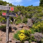 Cesta na Pico Ruivo – rozcestí PR 1.1 a PR 1