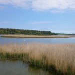 Spycker See a Mittel See