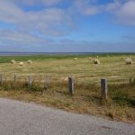 Ostrov Rømø na kole