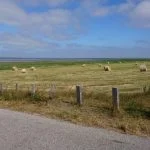 Ostrov Rømø na kole