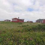 Ostrov Rømø na kole