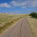 Ostrov Rømø na kole