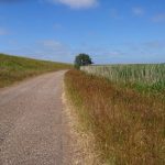 Ostrov Rømø na kole