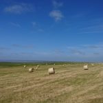 Ostrov Rømø na kole