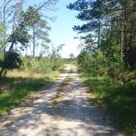 Cyklovýlet Skiveren - Skagen