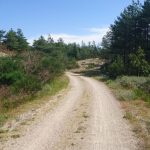 Cyklovýlet Skiveren - Skagen