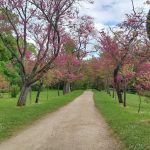 Zahrady Malého Trianonu