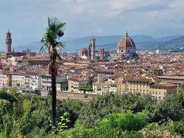 Katedrála Santa Maria del Fiore (Florentský dóm) Pohled na Florencii