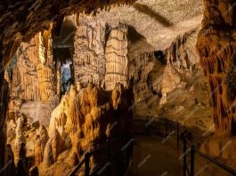 Postojnská jeskyně Postojnská jeskyně