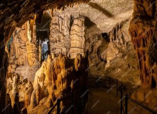 Postojnská jeskyně Postojnská jeskyně